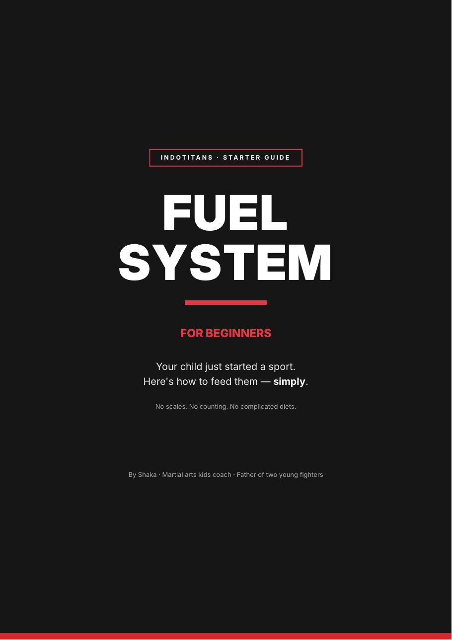 INDOTITANS fuel system for beginners ebook training program